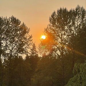 Meet your Posher, Kitty